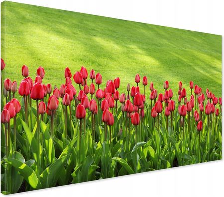 Printedwall Obraz na płótnie kwiat kwiaty tulipany Nowoczesny na ścianę 70x50 