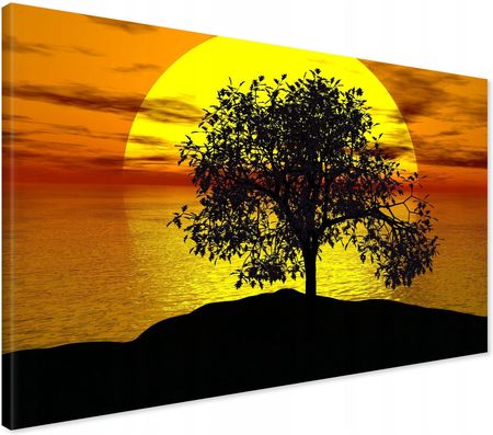 Printedwall Obraz na płótnie drzewo zachód słońca Nowoczesny na ścianę 100x70 