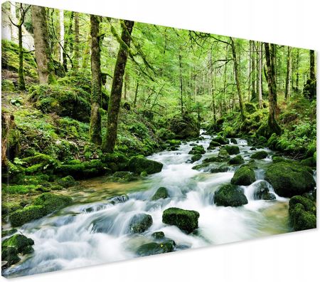 Printedwall Obraz na płótnie wodospad las drzewa Nowoczesny na ścianę 100x70 