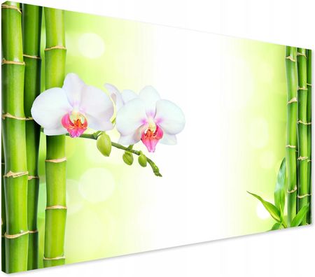 Printedwall Obraz na płótnie orchidea kwiat bambus Spa Nowoczesny na ścianę 70x50 