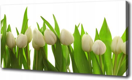 Wallmuralia Foto obraz na płótnie Białe tulipany 125x50 cm
