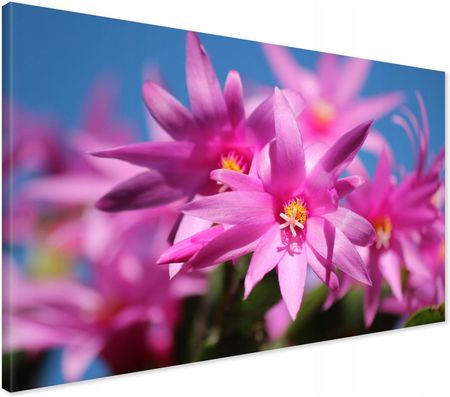 Printedwall Obraz na płótnie kwiat kwiaty Nowoczesny na ścianę 70x50 