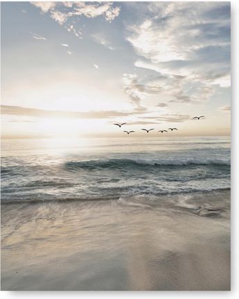 Kmbpress Plaża Ptaki plakat obraz 40x50 cm #115