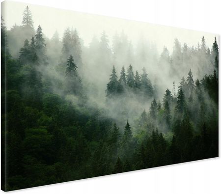 Printedwall Obraz na płótnie Las we mgle Nowoczesny na ścianę 70x50 