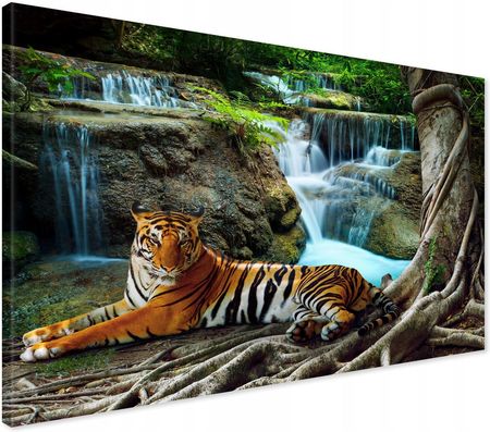 Printedwall Obraz na płótnie wodospad tygrys Nowoczesny na ścianę 70x50 