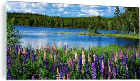Eobraz obraz na szkle szklany jezioro łąka kwiaty 100x50 (OSZ151)