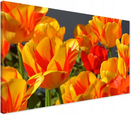 Printedwall Obraz na płótnie kwiaty kwiat Nowoczesny na ścianę 70x50 