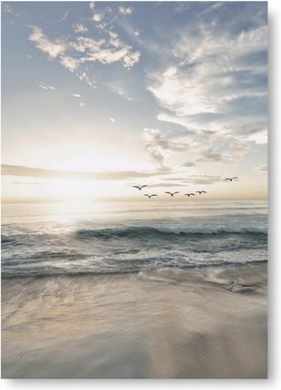 Kmbpress Plaża Ptaki plakat obraz A2 59,4x42cm #115