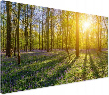 Printedwall Obraz na płótnie las drzewa Nowoczesny na ścianę 70x50 