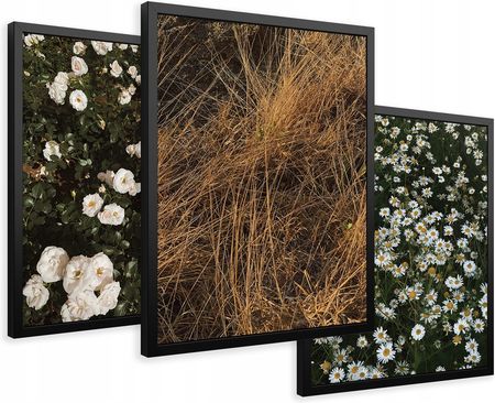 Printedwall Zestaw Obrazy w ramie plakaty boho kwiaty suche trawy tryptyk 43x99 