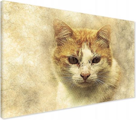 Printedwall Obraz na płótnie kot sztuka abstrakcja Nowoczesny na ścianę 100x70 
