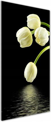 Tulup Foto obraz zdjęcie na szkle Białe tulipany 50x125 