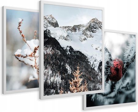 Printedwall Zestaw Obrazy w ramie plakaty zima w górach gałązki tryptyk 43x99 