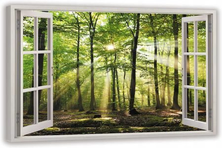 Eobraz Obraz widok przez okno las drzewa słońce 120x80 (75)