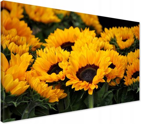 Printedwall Obraz na płótnie słoneczniki kwiaty Nowoczesny na ścianę 100x70 