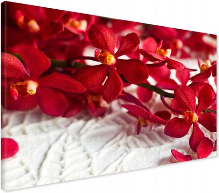Printedwall Obraz na płótnie orchidea kwiat Nowoczesny na ścianę 100x70 