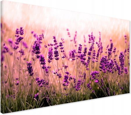Printedwall Obraz na płótnie kwiaty lawenda Nowoczesny na ścianę 100x70 
