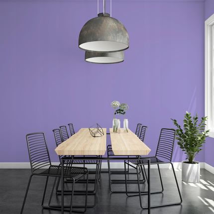 Q-Cover Farba Ceramiczna Fioletowa Fioletowy Fiolet Głęboki Mat 5L - zdjęcie 4