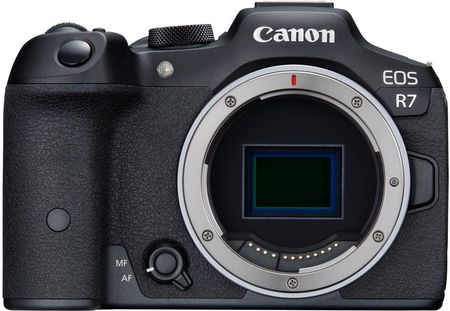 Canon EOS R7 +  RF 100-400 mm f/5.6-8 IS USM