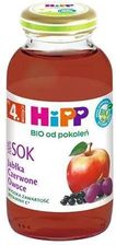Hipp Bio Od Pokoleń Jabłka-Czerwone Owoce Z Wodą Źródlaną Bio 200ml