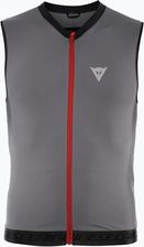 Zdjęcie Kamizelka Ochronna Męska Dainese Flexagon Waistcoat 2 Silver Filigree/Castle Rock  - Zawidów