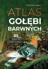 Zdjęcie Atlas gołębi barwnych - Bytom Odrzański