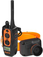 Zdjęcie Dogtra Obroża + Pilot 2600 T&B - Ostrołęka