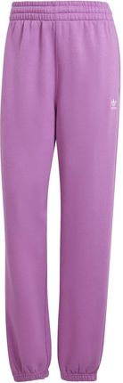 Spodnie dresowe damskie adidas ESSENTIALS FLEECE fioletowe IR5964