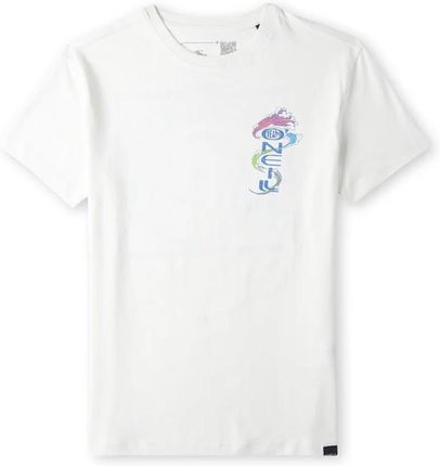 Dziecięca Koszulka z krótkim rękawem O'Neill Team O'Neill T-Shirt 4850071-11010 – Biały