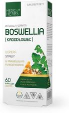 Zdjęcie Medica Herbs Boswellia Kadzidłowiec 350Mg 60Kaps. - Kobyłka