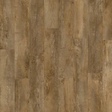 Moduleo Panele Winylowe Roots 40 Country Oak 24842