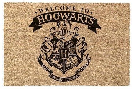 Wycieraczka pod drzwi Harry Potter - Witamy w Hogwarcie (60x40 cm)