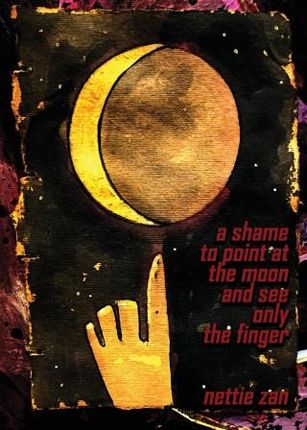 A Shame to Point at the Moon and See Only the Finger
