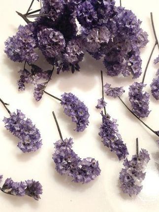 Kwiaty Suszone 3D Violet 10 Pęczków Pęcz 1 2 5Cm Op