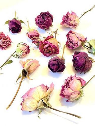 Kwiaty Suszone Róże 3 D L Mix Color Główki Ok. 2 4 5Cm 4Szt. 1 Op