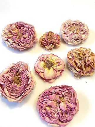 Kwiaty Suszone Róże 3D Pink Mix Color Śr.Ok. 3 7 5Cm 2Szt. 1 Op
