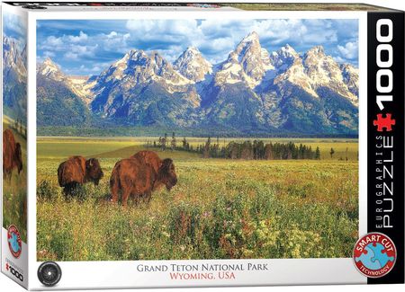 Eurographics 1000El. Grand Teton National Park 6000-5474
