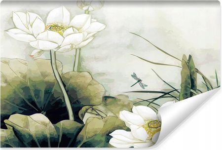 Muralo Fototapeta Ścienna Lilie Wodne Kwiaty Rośliny Liście Abstrakcja 360X240