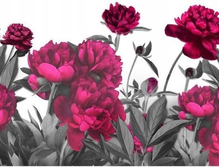 Artpro Fototapeta 3D Na Ścianę  500X280   Fioletowe Kwiaty Łąka