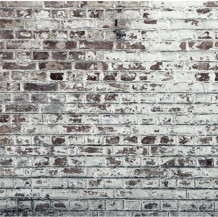 Artpro Fototapeta 3D Na Ścianę  300X210  Szary Ceglany Mur Loft