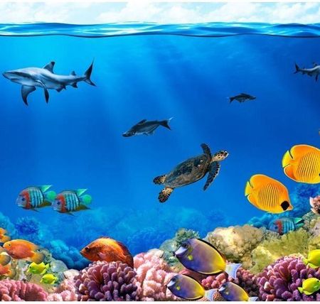 Artpro Fototapeta 3D Na Ścianę  200X140  Rafa Koralowa Ryby