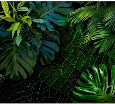 Artpro Fototapeta 3D Na Ścianę  400X280  Mroczna Dżungla Liście