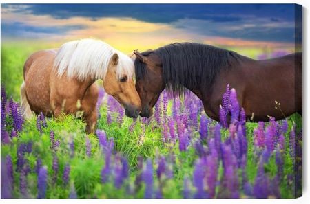 Doboxa Obraz Na Płótnie Zakochane Konie W Kwiatach 90X60 Lb-376-C