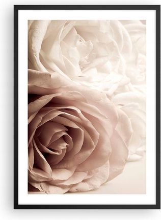 Arttor Plakat w czarnej ramie do Salonu Sypialni 50x70 Róże Nowoczesny obraz (P2BPA50X705424)