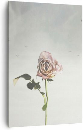Arttor Duży obraz do Salonu XXL 80x120 Róża Nowoczesny fotoobraz na płótnie Obrazy (PA80X1204509)