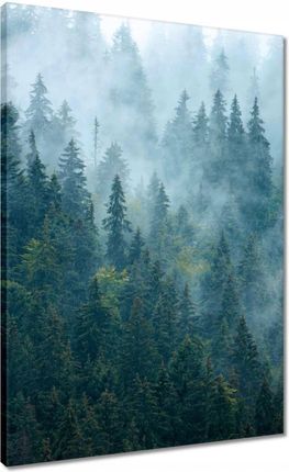 Zesmakiem Obrazy 50x70 Las we mgle Podróżowanie (H9925M_PC1H_50X70CM)