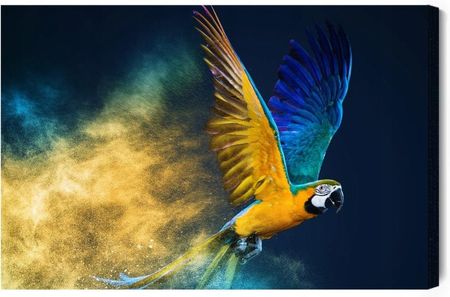 Doboxa Obraz Na Płótnie Kolorowa Papuga Ara 120x80 LB-804-C (5904343983899)