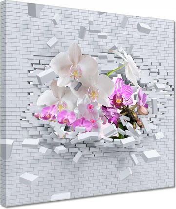 Zesmakiem Obrazy 30x30 Storczykiem w mur Kwiaty (H7812M_PC1AI_30X30CM)