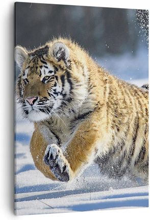 Arttor Obraz na płótnie do Salonu Sypialni 50x70 Tygrys Obrazy na ścianę Canvas (PA50X703928)
