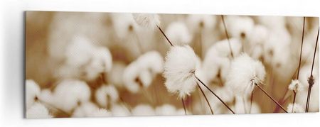 Arttor Duży obraz do Salonu 160x50 Kwiat Natura Nowoczesny na płótnie Obrazy (AB160X504850)